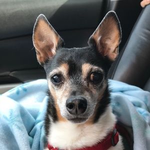 Meet your Posher, Jan